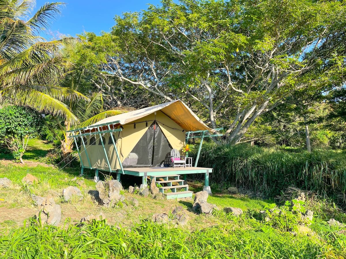 Monkeypod Canopy with Shared Kitchen and Bath - Photo 2