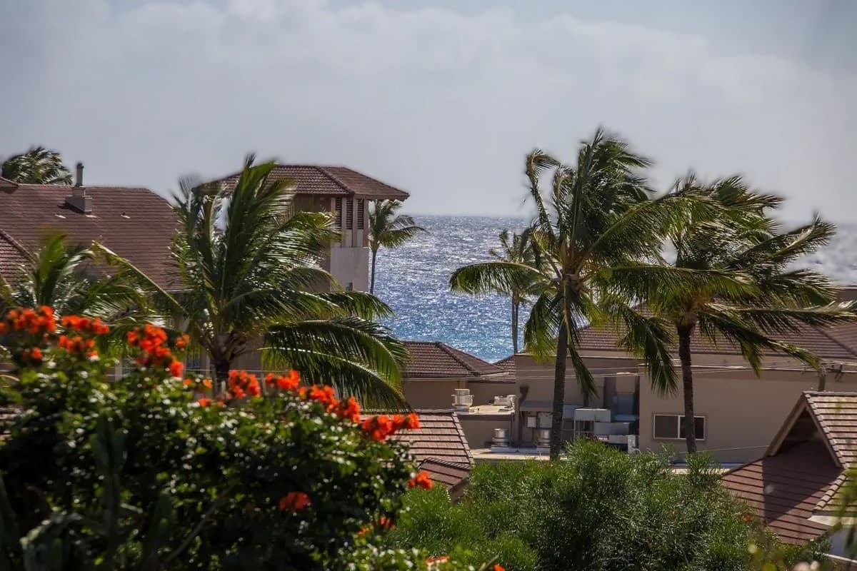 Condo in Koloa · ★4.81 · 1 bedroom · 2 beds · 1 bath - Photo 1