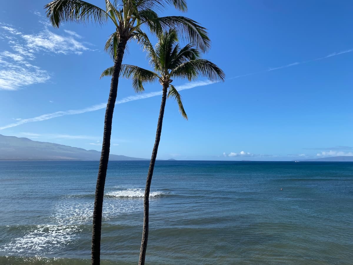 Condo in Wailuku · ★5.0 · 2 bedrooms · 3 beds · 2 private baths - Photo 3