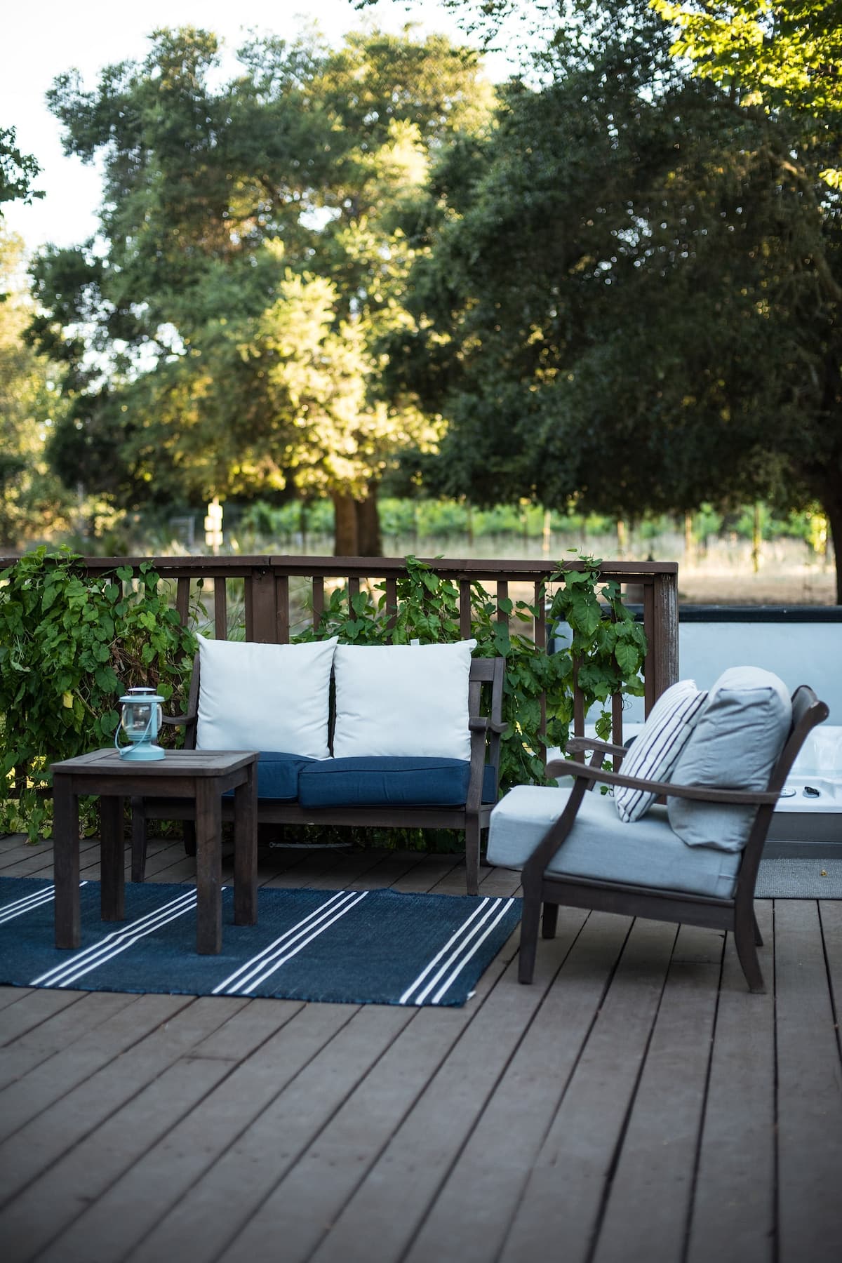 Sonoma Villa with Pool on 4.5 Vineyard Acres - Photo 4