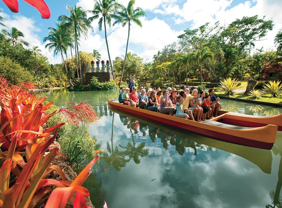 Place to stay in Hauula · ★4.77 · 1 bedroom · 1 bed · 1 shared bath - Photo 3
