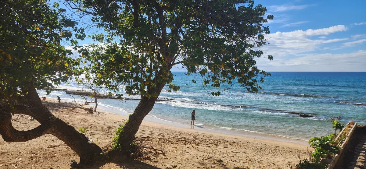 Condo in Lahaina · ★4.8 · 1 bedroom · 1 bed · 1 private bath - Photo 4