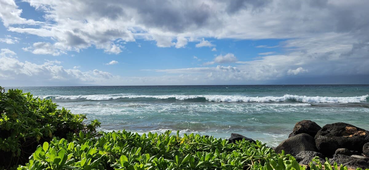 Condo in Lahaina · ★4.8 · 1 bedroom · 1 bed · 1 private bath - Photo 5