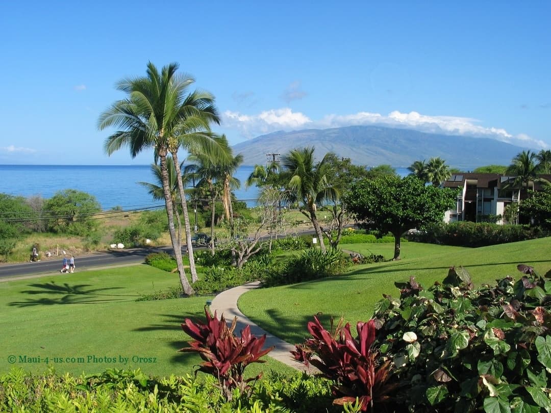 Maui Kamaole B114 Beach Retreat summer specials - Photo 1