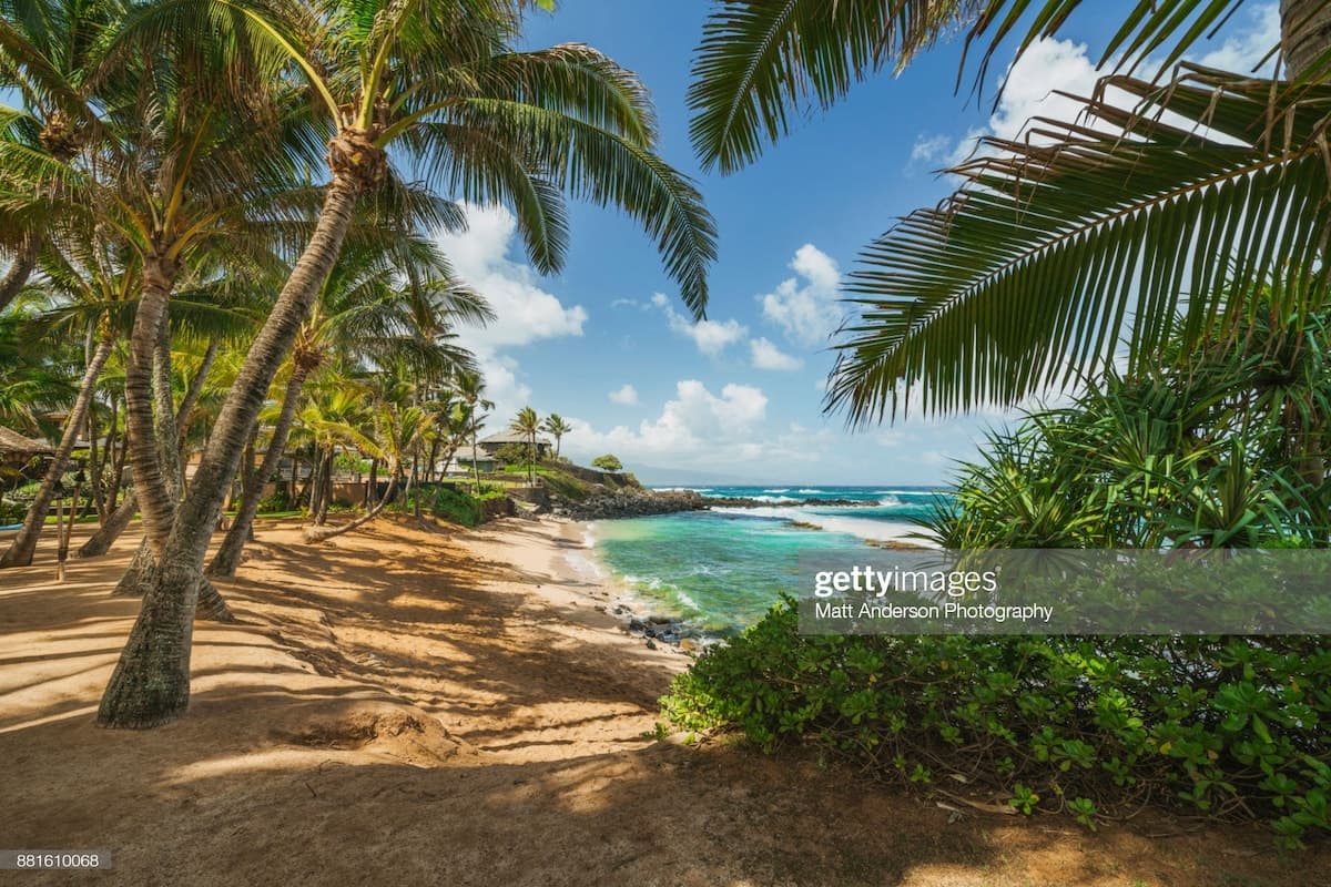Maui Tropical House. Walk to the beach! - Photo 1