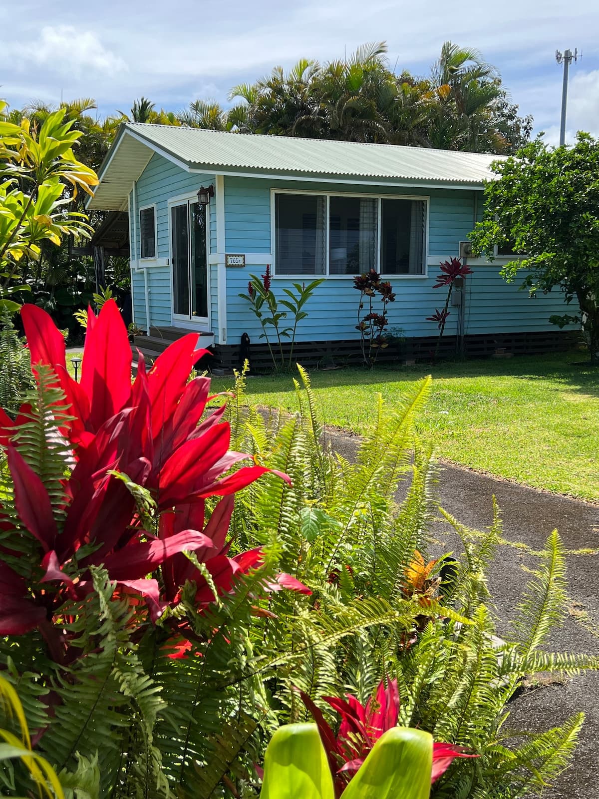Great Location, 1 BR Beachy, VERY CLEAN Cottage - Photo 1