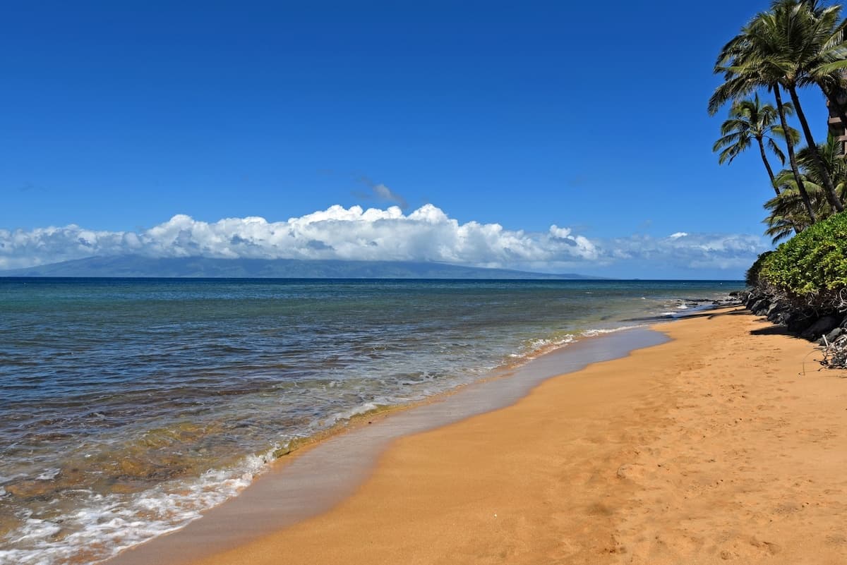 Condo in Lahaina · ★5.0 · 1 bedroom · 1 bed · 1 bath - Photo 3