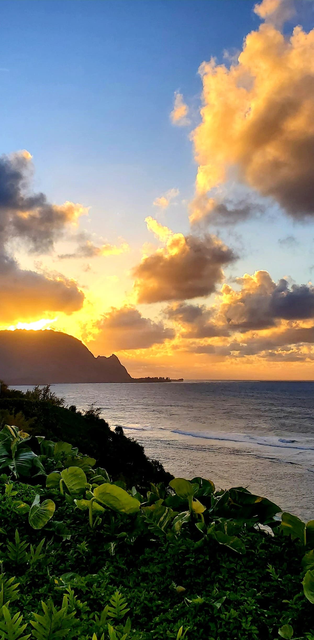 Condo in Princeville · ★4.98 · 1 bedroom · 1 bed · 1 private bath - Photo 2