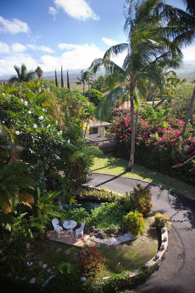 Guesthouse in Kihei · ★4.92 · 1 bedroom · 1 bed · 1 private bath - Photo 5