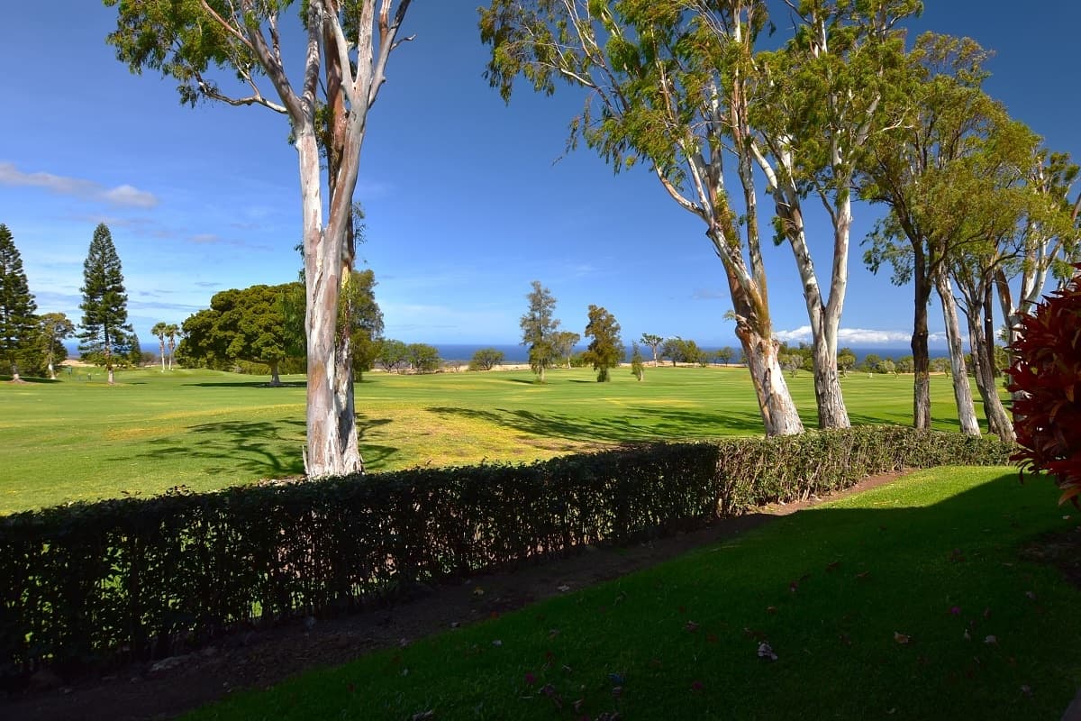 Single-Story Oasis with Ocean & Golf Course Views! - Photo 1