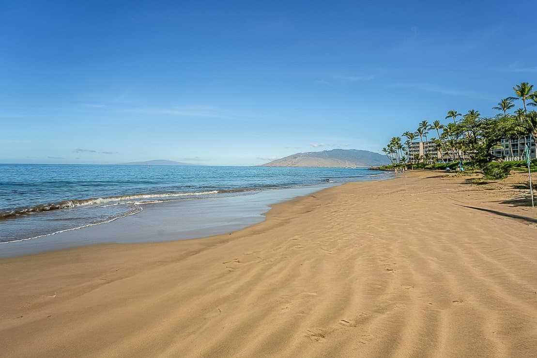 Condo in Kihei · ★4.82 · 1 bedroom · 2 beds · 1 private bath - Photo 1