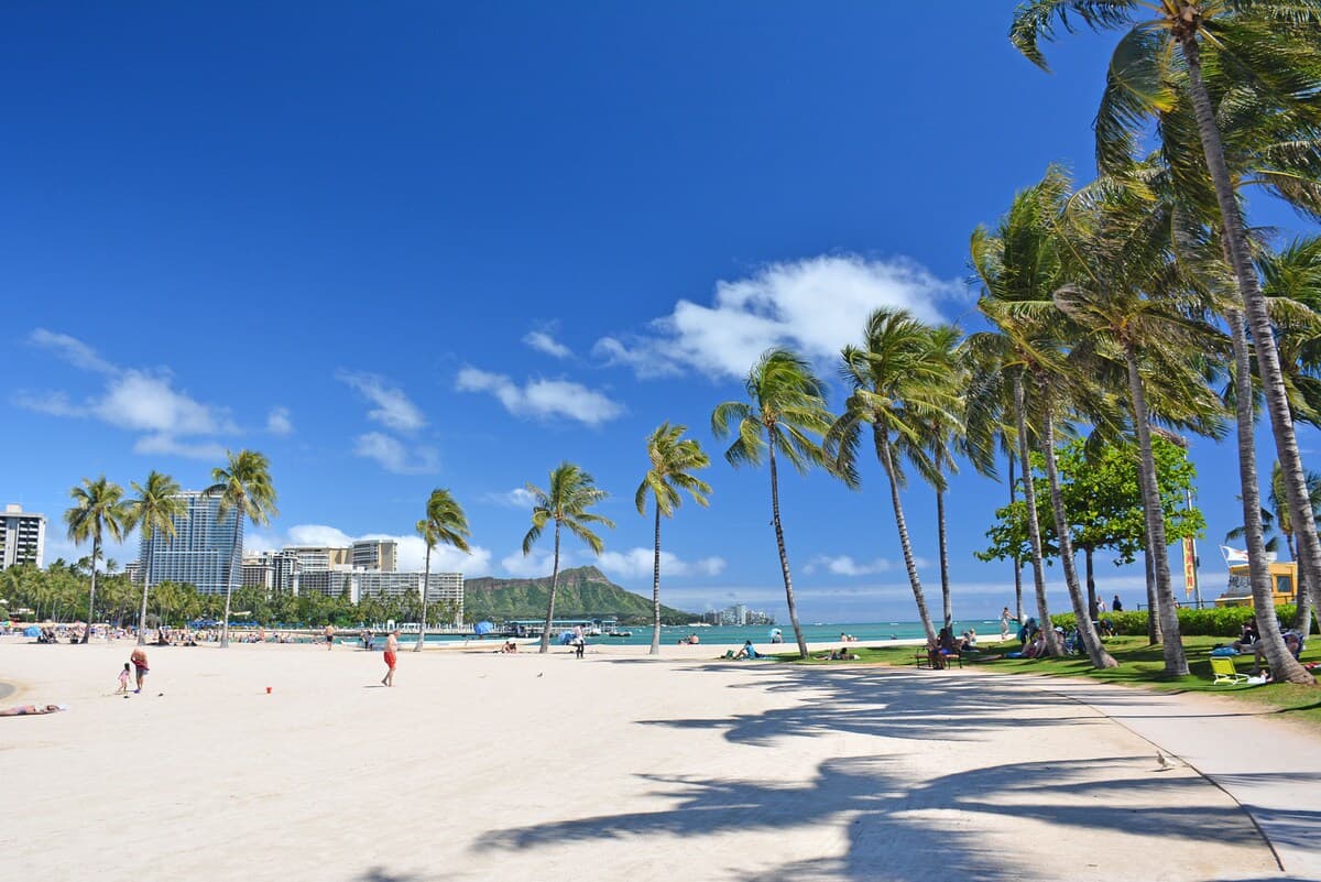 Condo in Honolulu · ★4.61 · 1 bedroom · 2 beds · 1 private bath - Photo 4