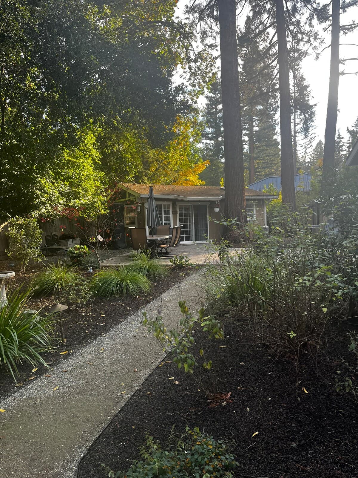 Cottage In The Pines Tranquil Studio Near WC - Photo 5