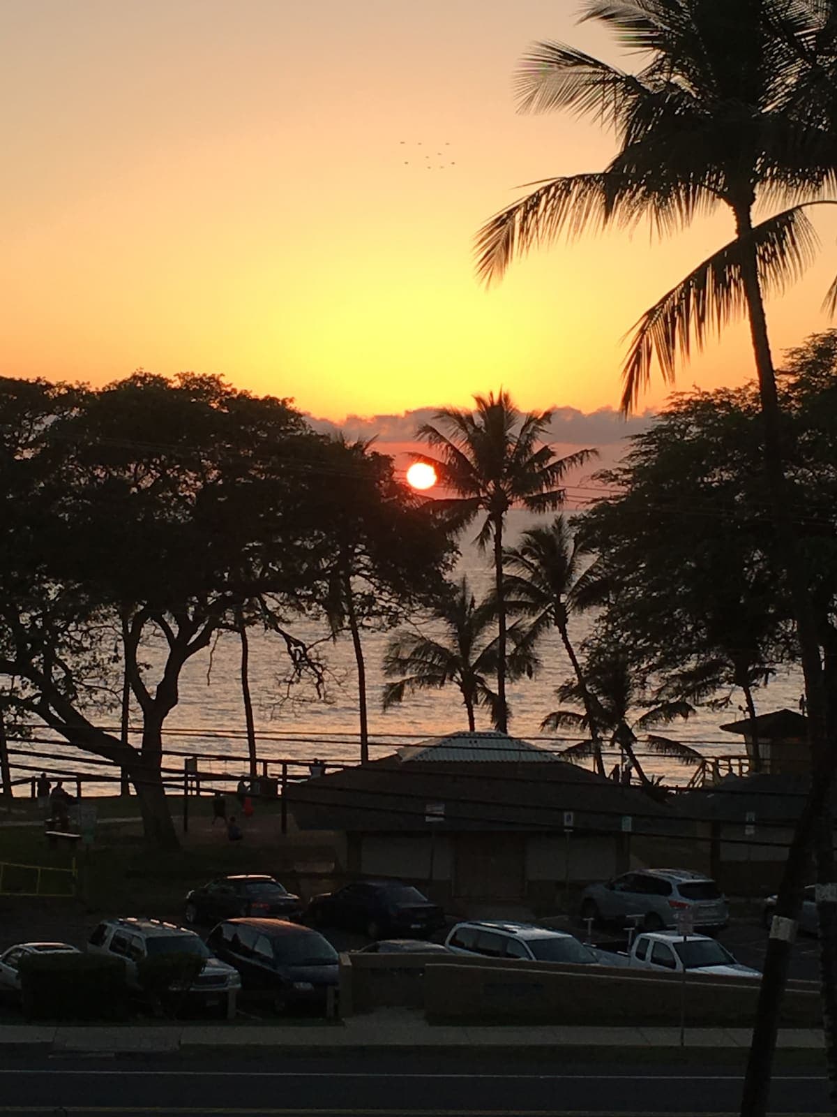 Sunset Sanctuary - Maui Parkshore - Top Floor - Photo 1