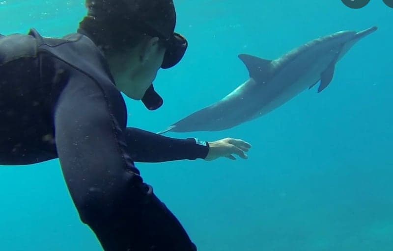 Hawaii Ocean Breeze Dome Getaway - Photo 3