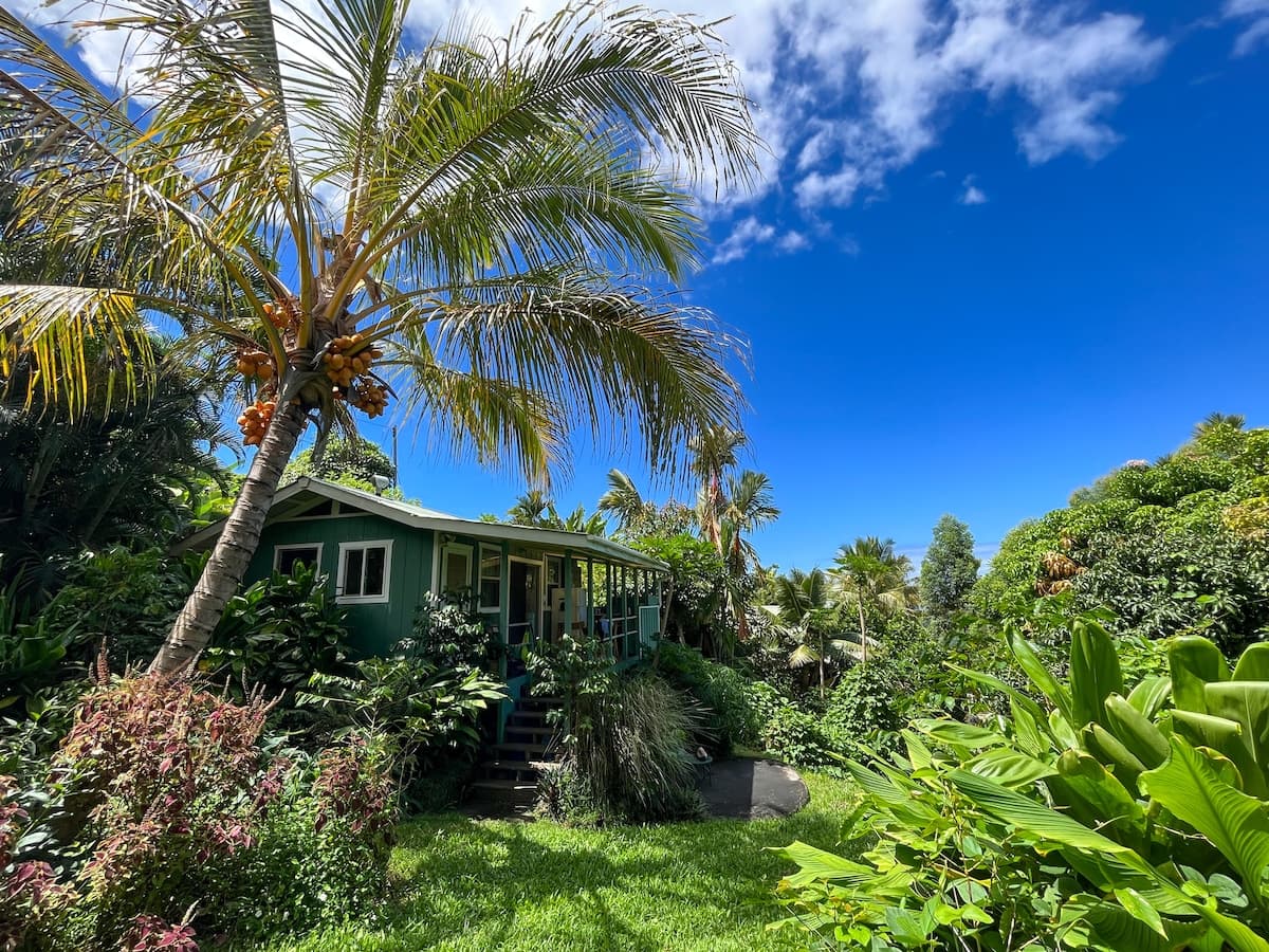 Unplug and Reset: Garden Cottage with Ocean View - Photo 1