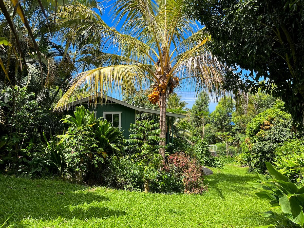 Unplug and Reset: Garden Cottage with Ocean View - Photo 5