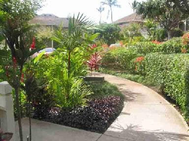 Condo in Wailea · ★4.73 · Studio · 2 beds · 1 private bath - Photo 2