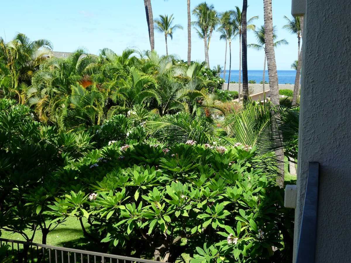 King Bed Shaded Part ocean view - Photo 1