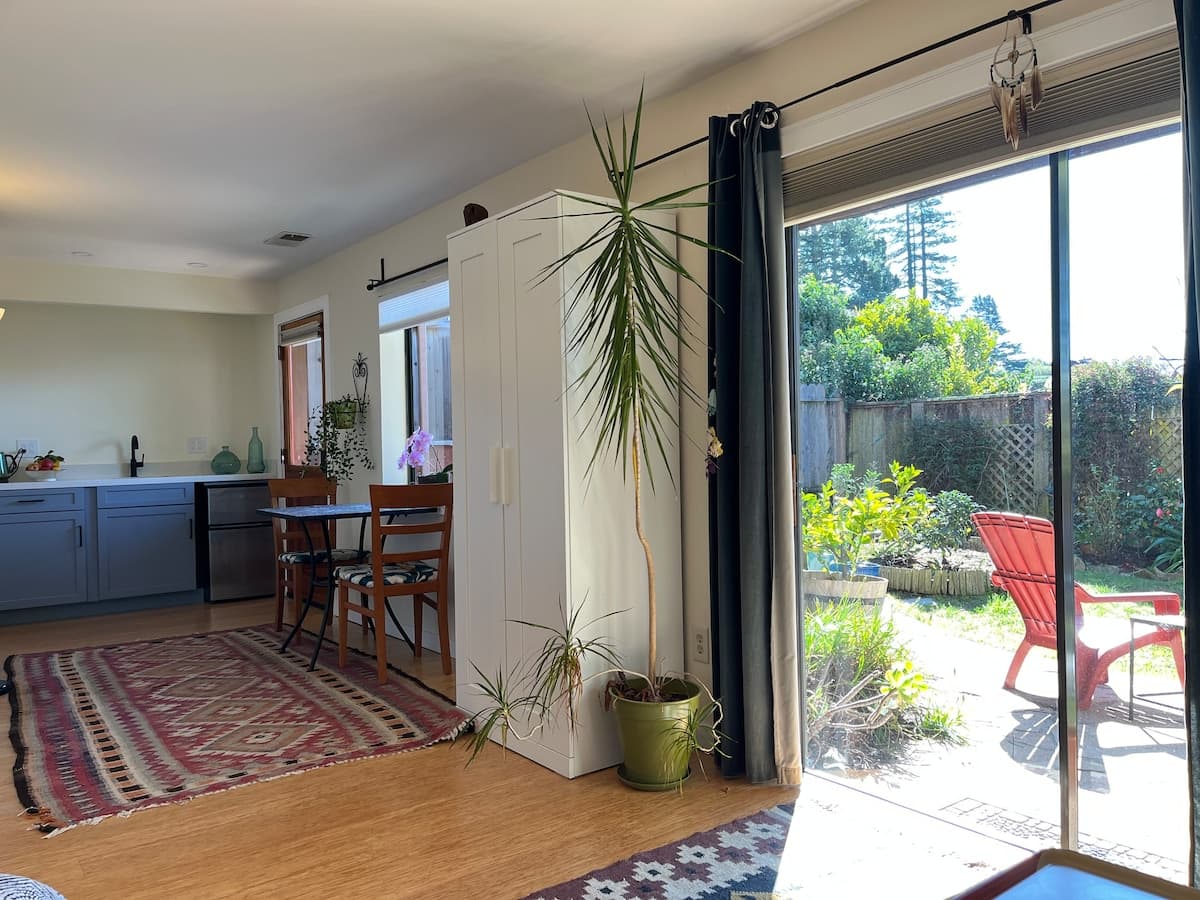 Pet Friendly Garden Oasis - Photo 3