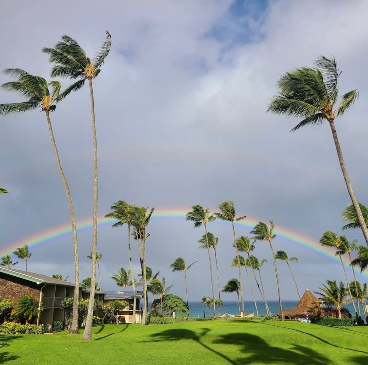 Condo in Lahaina · ★5.0 · 1 bedroom · 3 beds · 1 bath - Photo 1