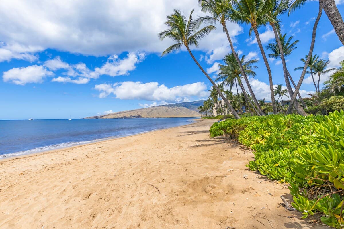Condo in Kihei · ★5.0 · 1 bedroom · 2 beds · 2 baths - Photo 3