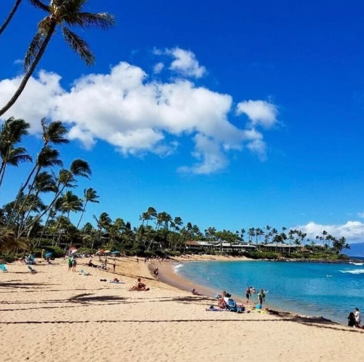 Oceanfront Resort Maui~ AC/King~ Sandy Napili Bay! - Photo 2