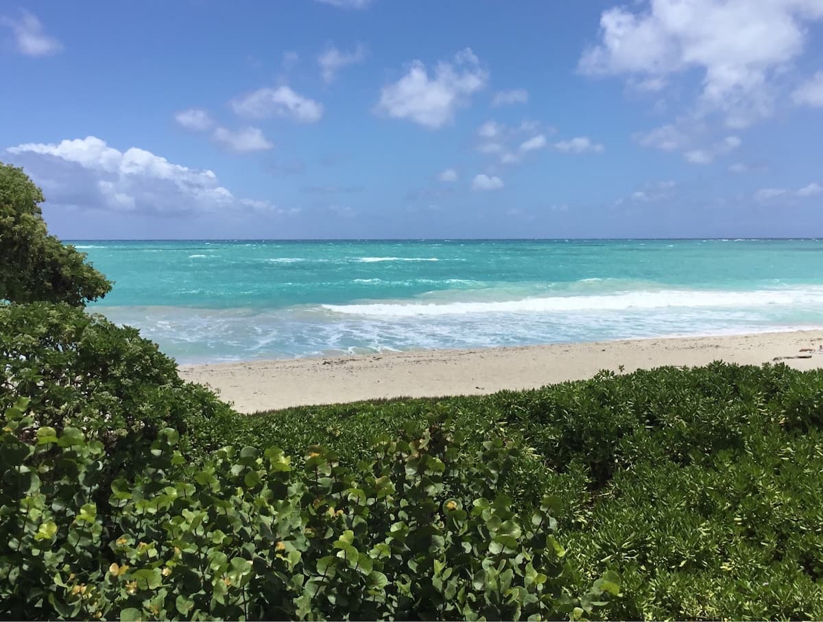 Guesthouse in Kailua · ★4.78 · 2 bedrooms · 3 beds · 1 private bath - Photo 4