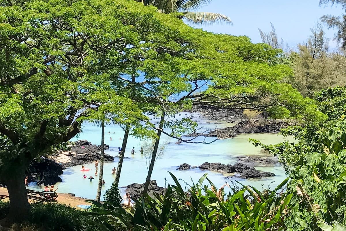 Beachfront Spectacular 1brm Mauna Loa Shores - Photo 1