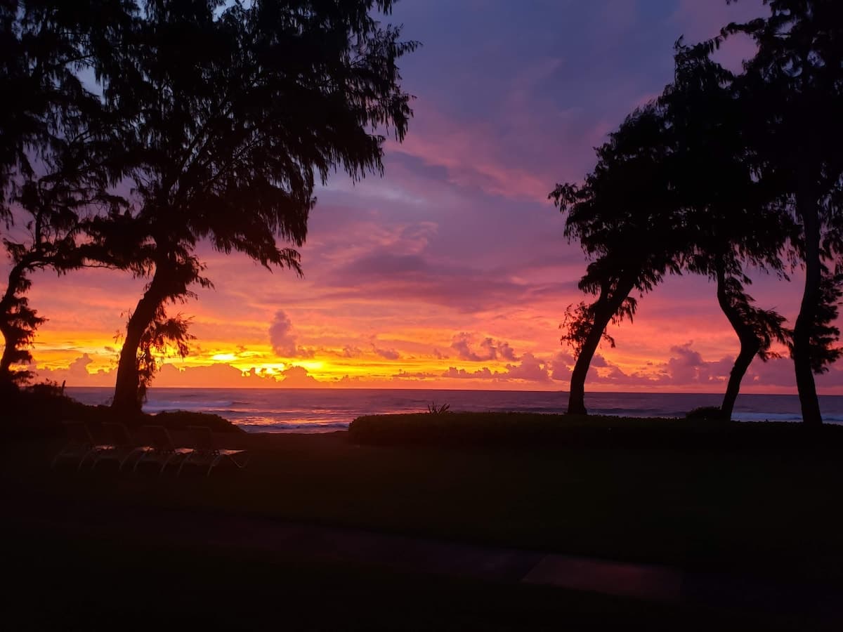 Condo in Kapaa · ★4.97 · Studio · 1 bed · 1 private bath - Photo 2