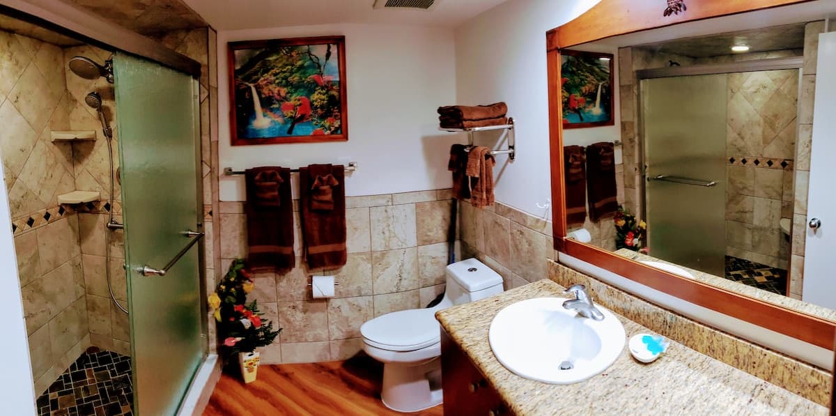 Condo in Kapaa · ★4.97 · Studio · 1 bed · 1 private bath - Photo 4