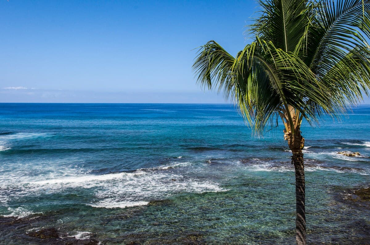 Condo in Kailua-Kona · ★4.86 · Studio · 1 bed · 1 bath - Photo 5