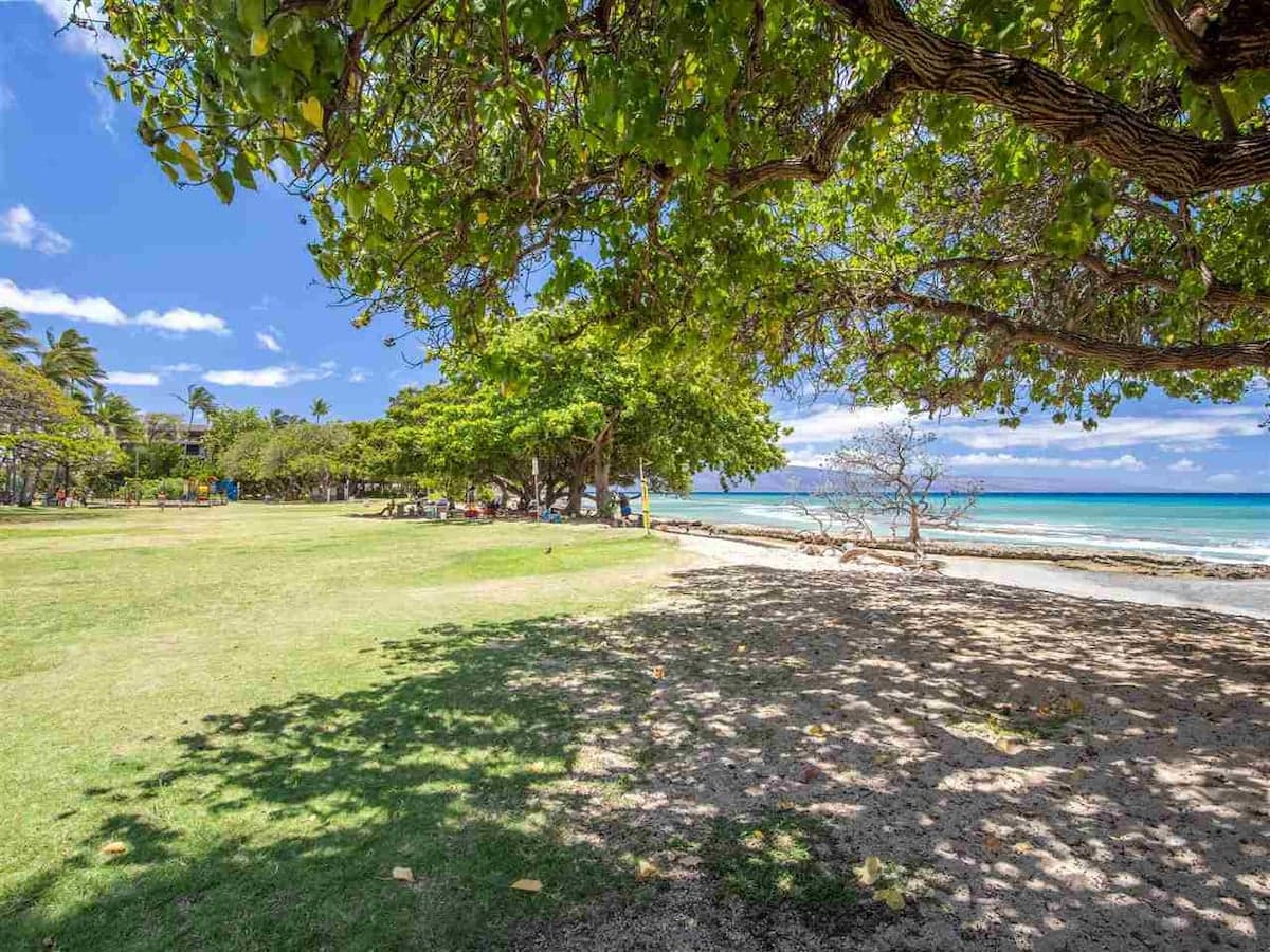 A jewel on Oceanfront & Breath Taking Views. - Photo 3