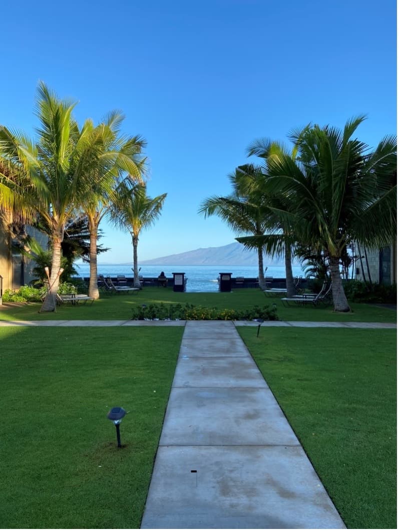 A jewel on Oceanfront & Breath Taking Views. - Photo 4