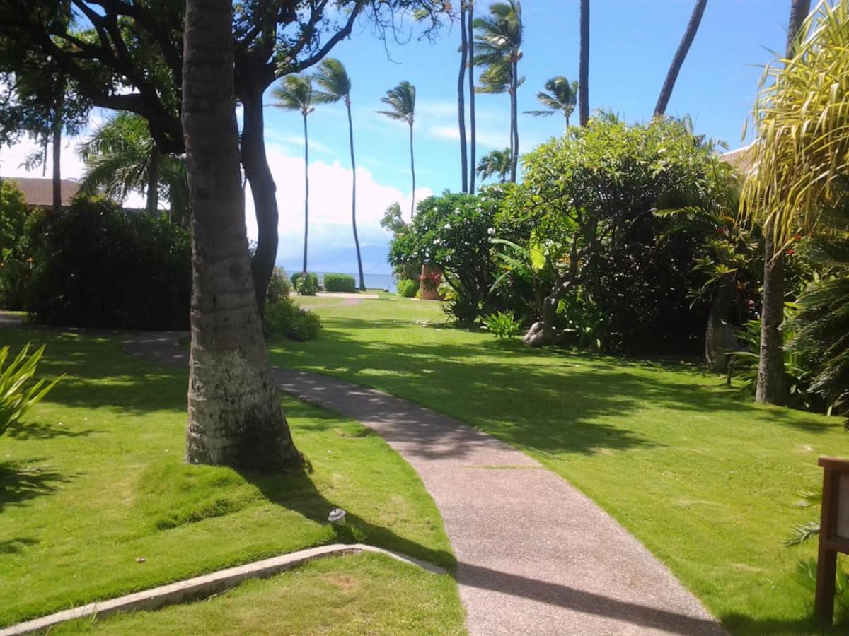 A jewel on Oceanfront & Breath Taking Views. - Photo 5