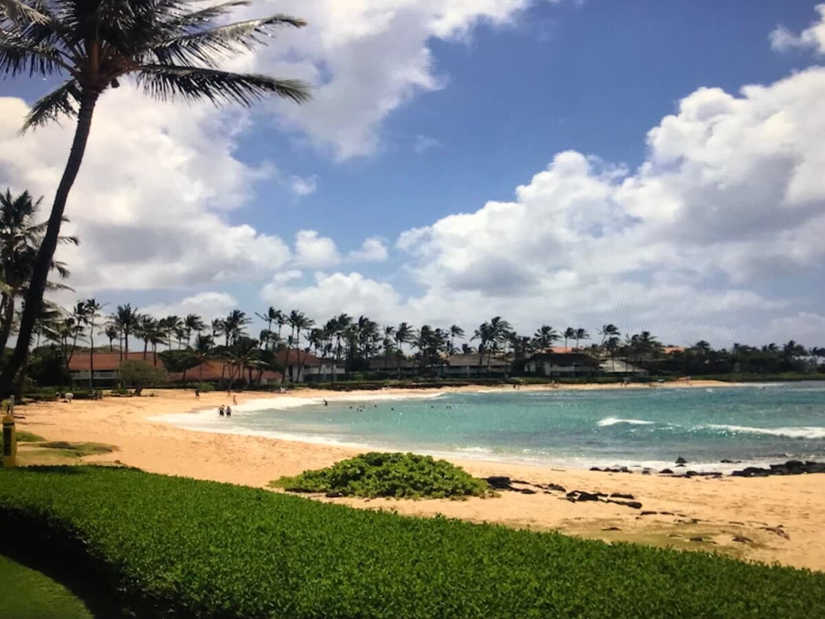 Condo in Koloa · ★4.83 · 2 bedrooms · 4 beds · 2 baths - Photo 5
