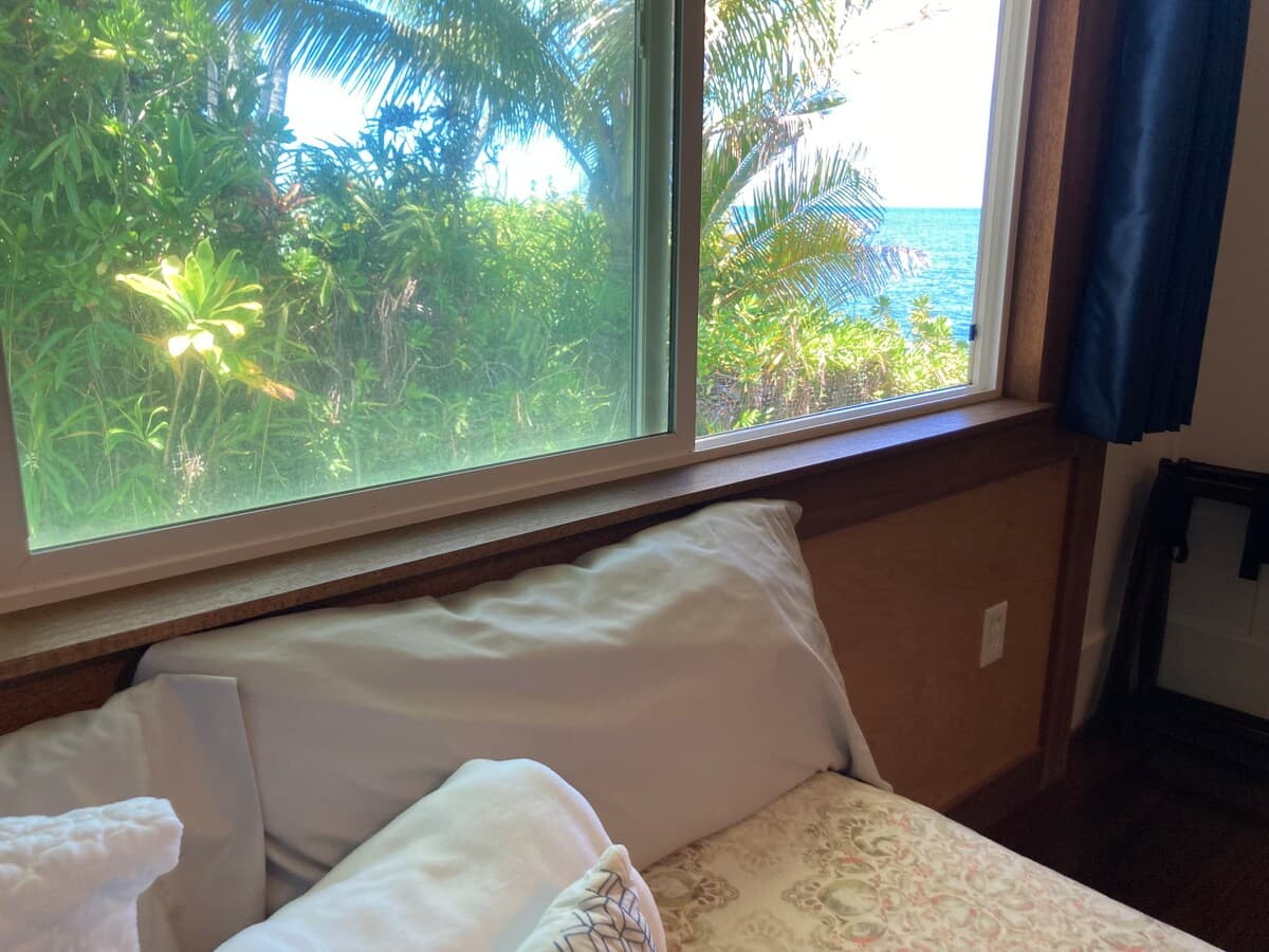 Hilo Bay Oceanfront B&B Room #6 a garden view - Photo 5