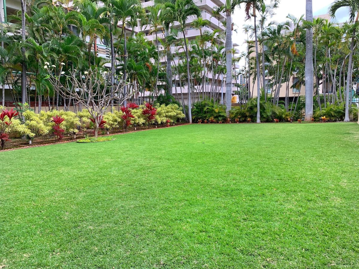 Waikiki 2 Bedroom Suite on High Floor! - Photo 5