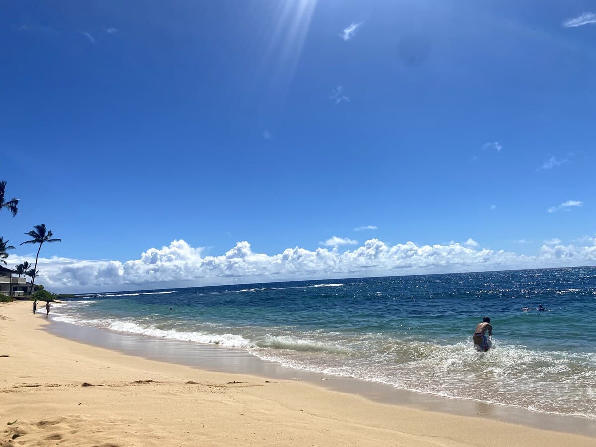 Condo in Koloa · ★4.85 · 1 bedroom · 2 beds · 1 private bath - Photo 5