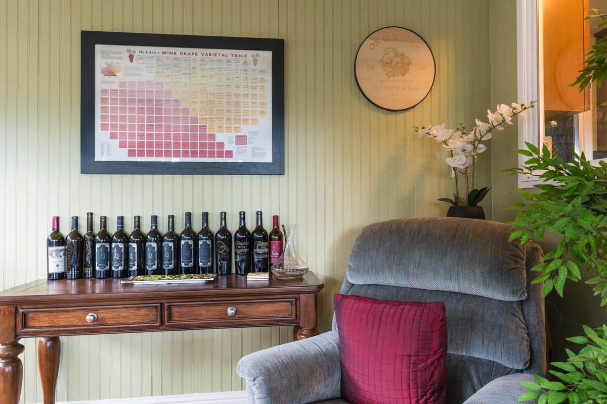 Vineyard-View Home in Napa Valley Heart - Photo 3