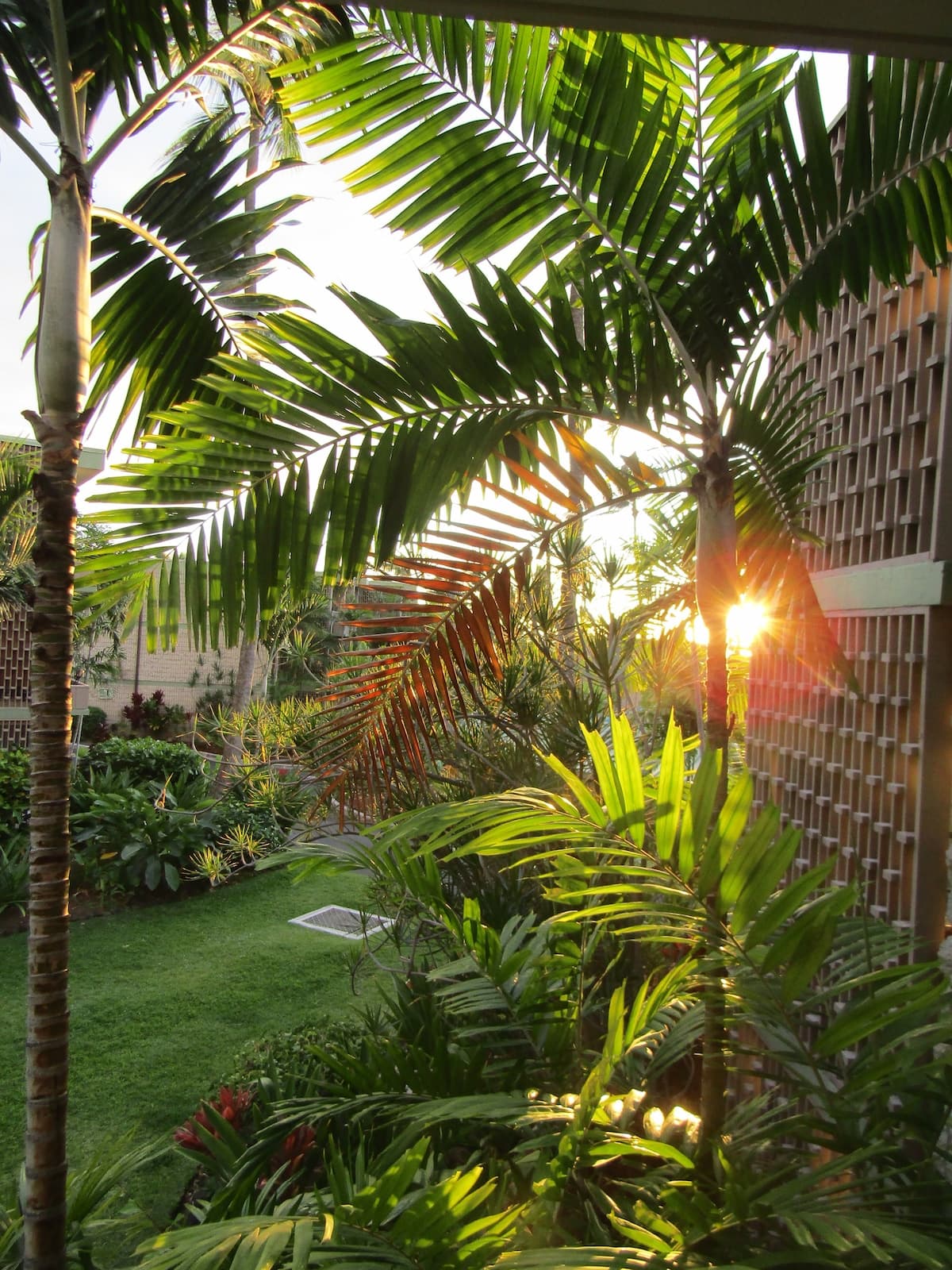 Lovely Kona Condo @ Alii Villas - Photo 4