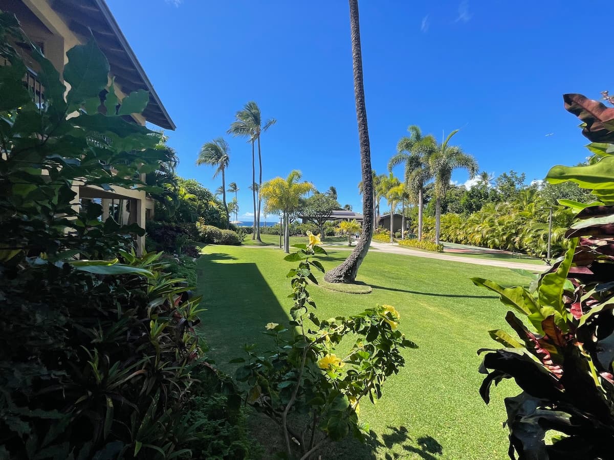 Condo in Kihei · ★4.96 · Studio · 2 beds · 1 bath - Photo 1