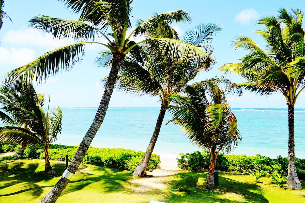 Condo in Hauula · ★4.76 · Studio · 4 beds · 1 private bath - Photo 1