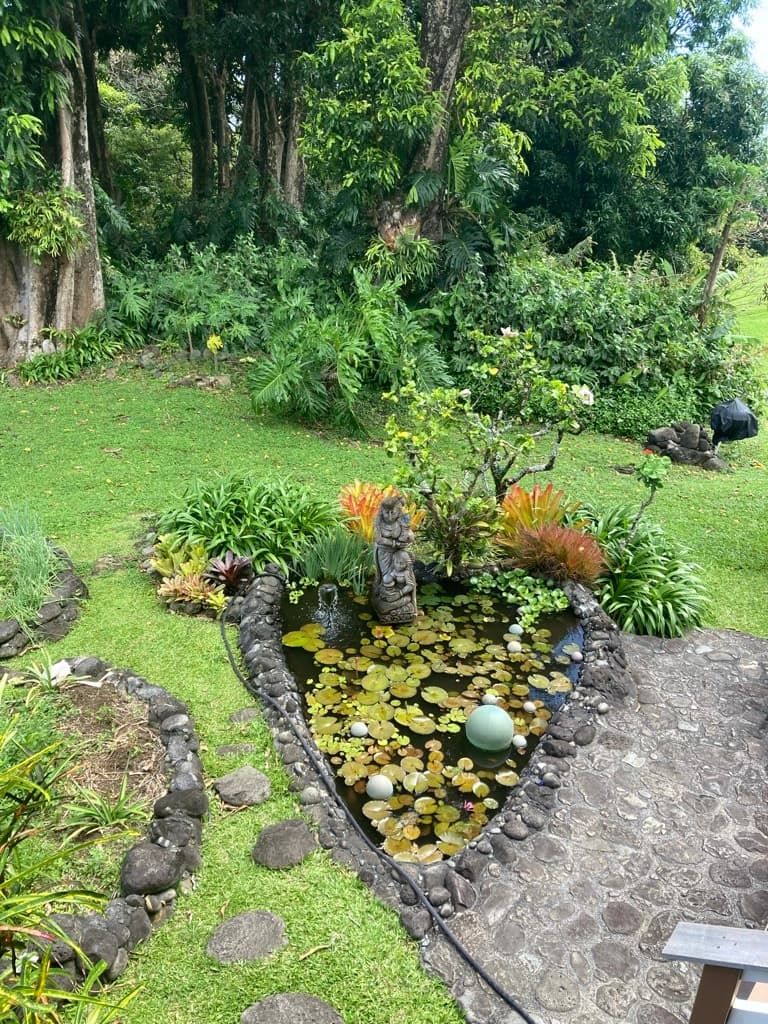 Ala Type Ocean Vista - Hana Bed & Breakfast - Photo 3