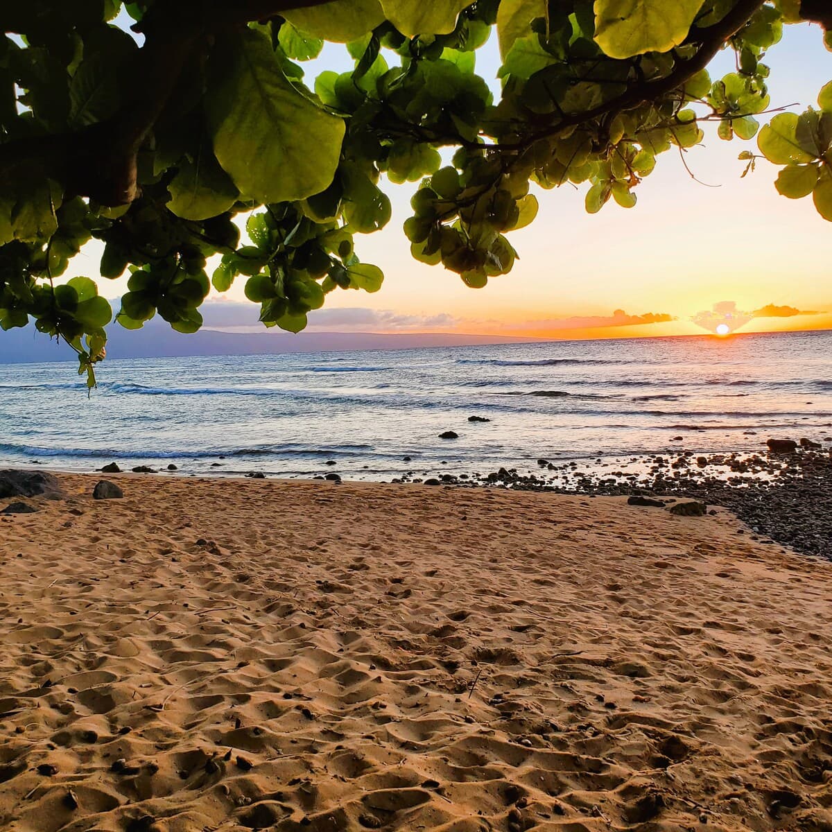 Condo in Lahaina · ★4.75 · 1 bedroom · 2 beds · 1 shared bath - Photo 5
