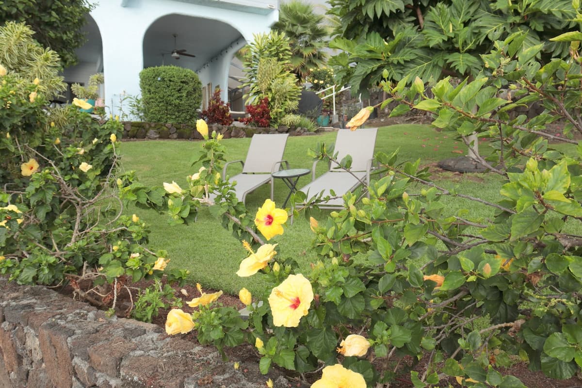 Guesthouse in Kailua-Kona · ★4.96 · 2 bedrooms · 3 beds · 1.5 private baths - Photo 5