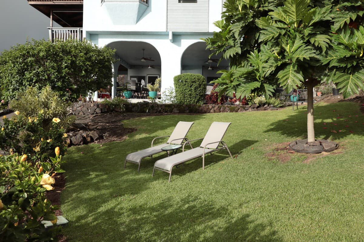 Guesthouse in Kailua-Kona · ★4.96 · 2 bedrooms · 3 beds · 1.5 private baths - Photo 4