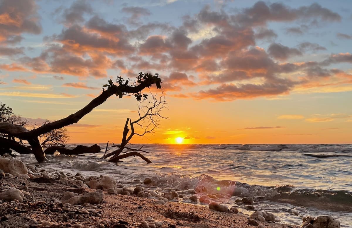 Home in Waimea · ★4.9 · 3 bedrooms · 3 beds · 2.5 baths - Photo 1