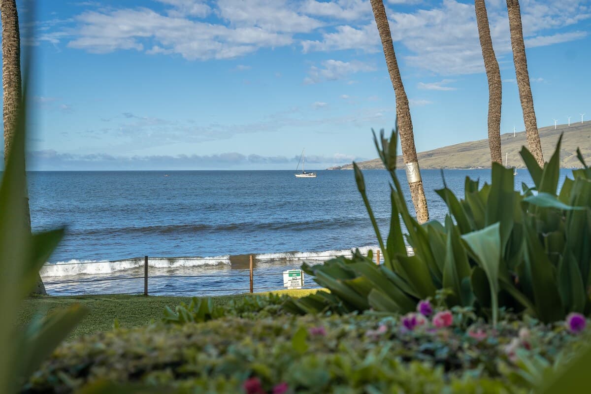 Awesome Oceanfront Condo KR207 - Photo 2