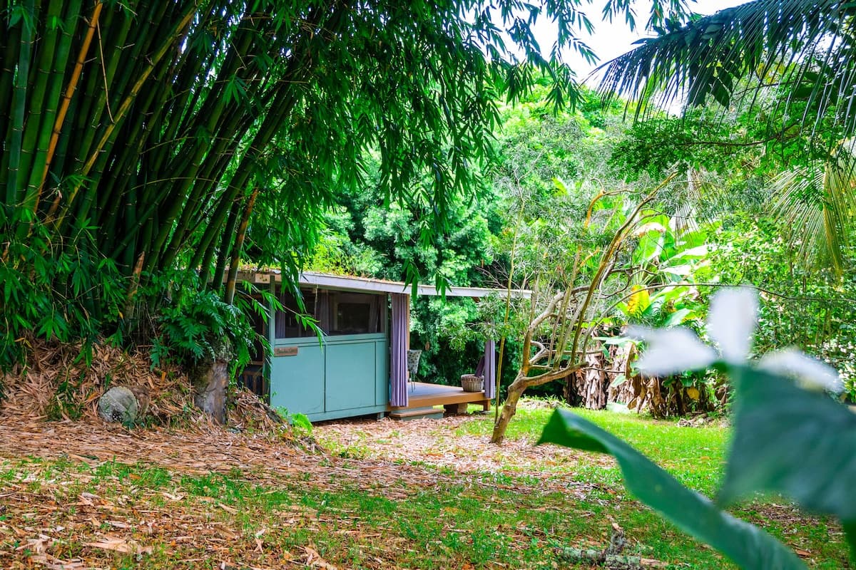 Unplug and Reset: Bamboo Cabin - Photo 1
